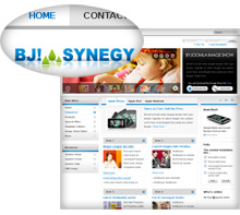 BJ Synegy Blue