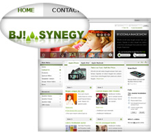 BJ Synegy Green