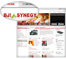 BJ Synegy Maroon