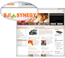 BJ Synegy Orange
