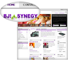 BJ Synegy Purple